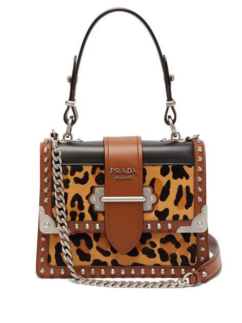prada cahier with print